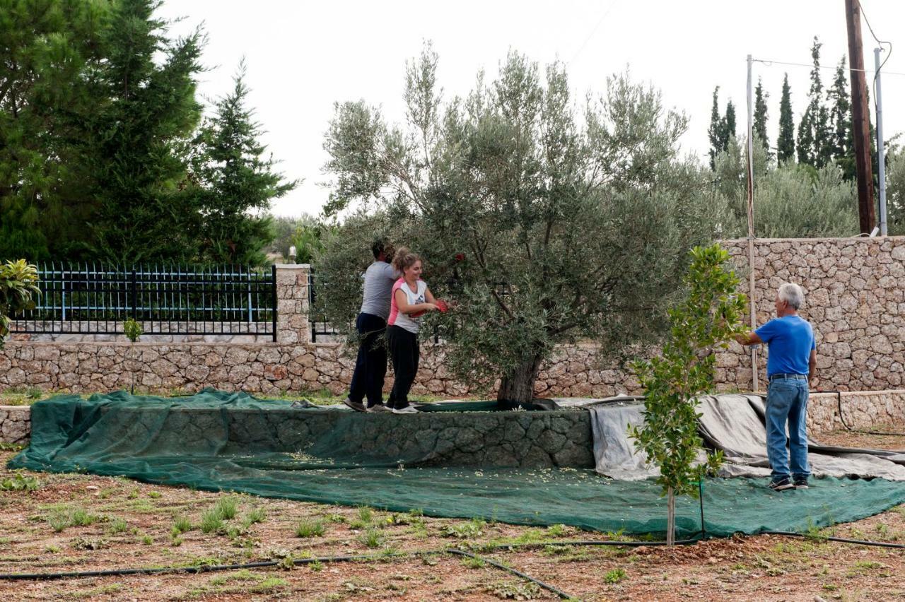 Villa Hermes Porto Heli Bagian luar foto